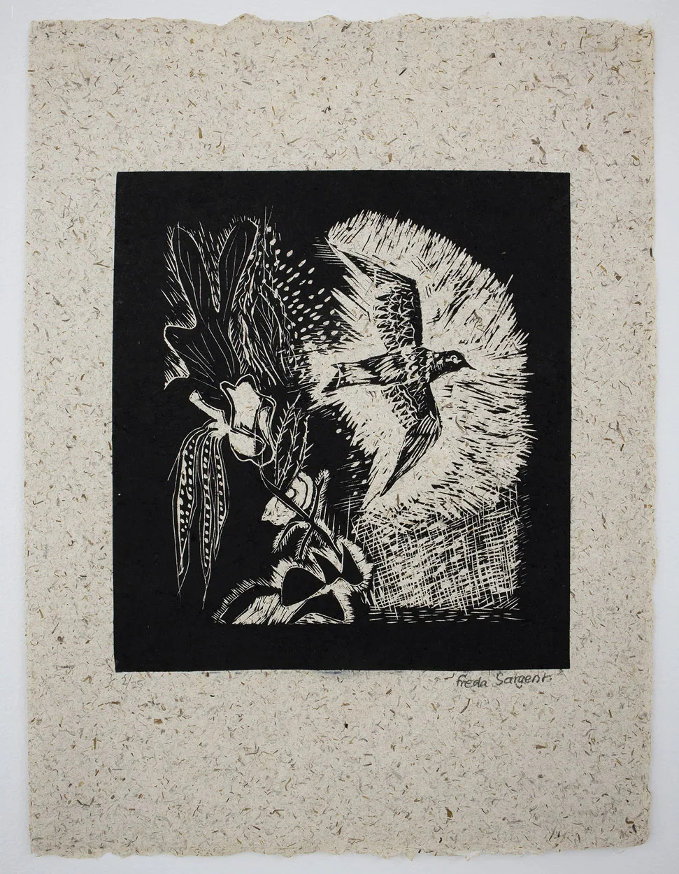Pájaros 2