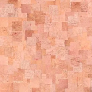 Piel