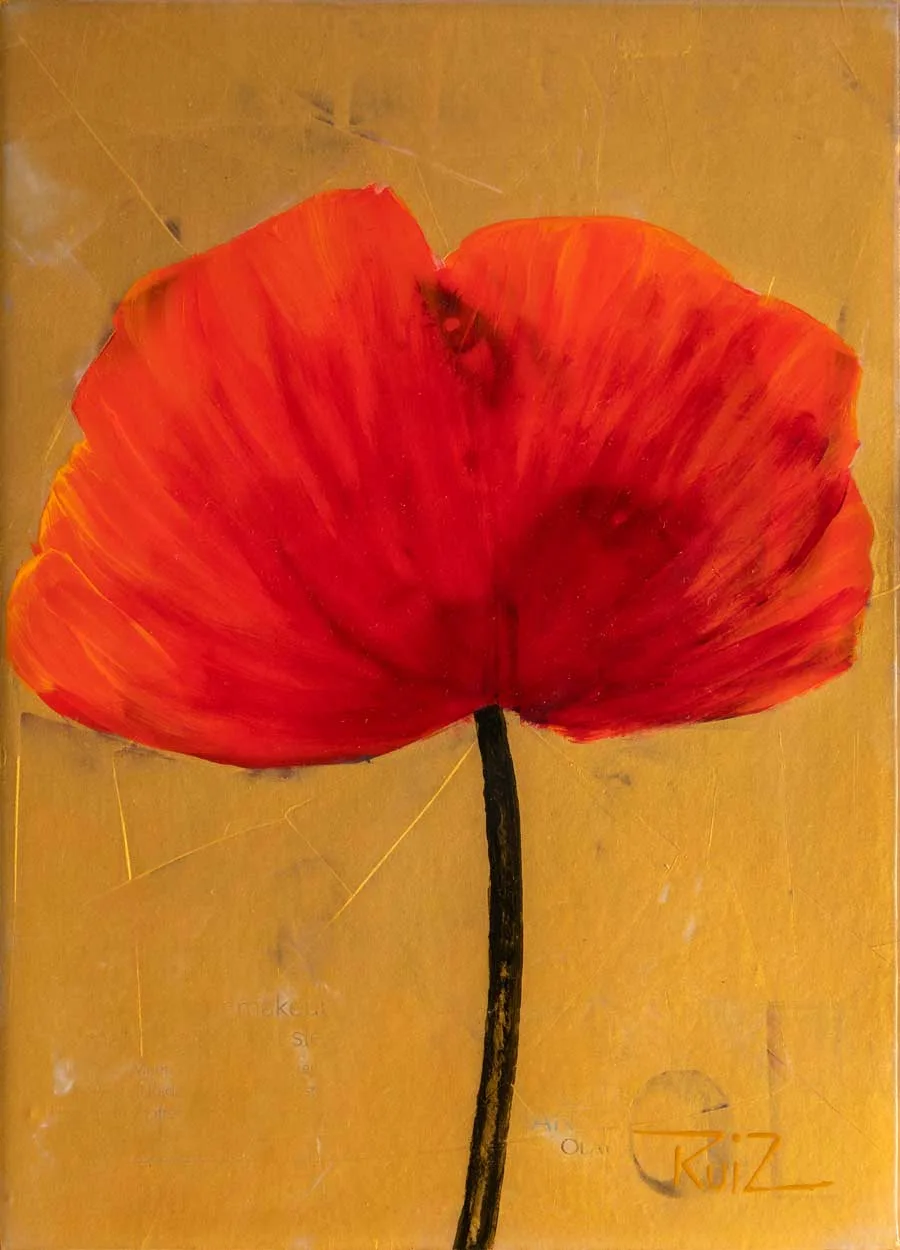 Amapola