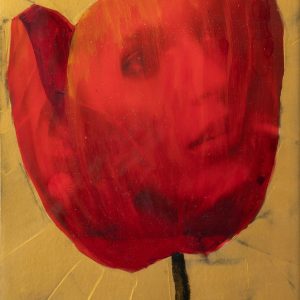 Amapola