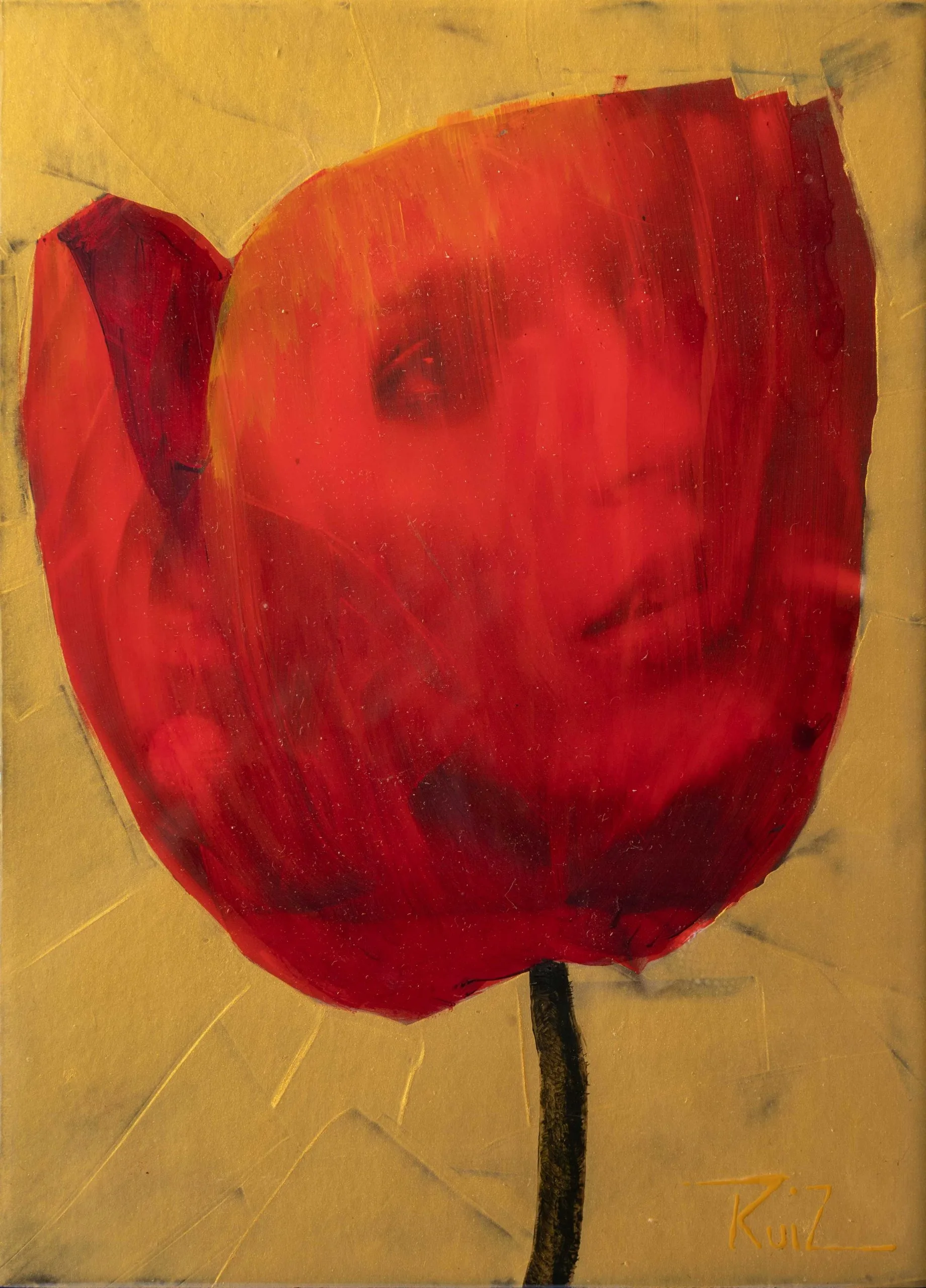 Amapola