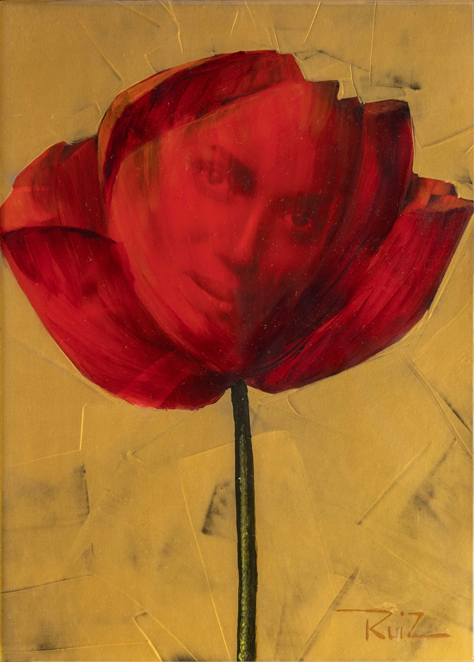 Amapola